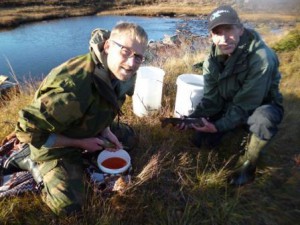 Stein Grue og Ivar Næverdal stryker fisk fra Litjsvergja.